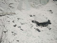 -青峰峡国家森林公园