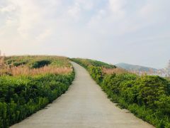 -东极岛景区