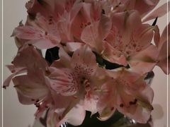 -炳胜公馆(珠江新城店)