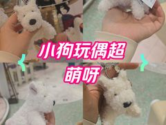 -北京SKP