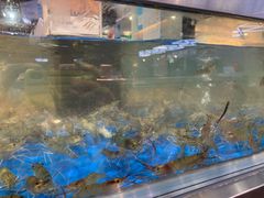 -盒马鲜生(昆城店)