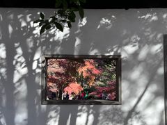 -秋霞圃