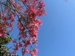 -映月湖公园