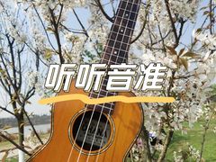 -WithU悠弦时光·尤克里里之家ukulele(宽窄巷子店)