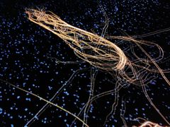 -超体空间SoReal VR(迪士尼小镇店)