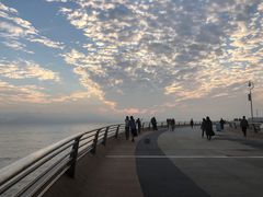 -演武大桥观景平台