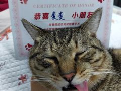 -御宝贝24h宠物医院·转诊中心·CT核磁血透中心(厦门总院)