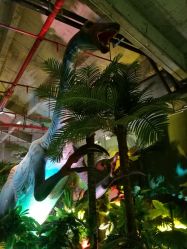 -恐龙探索乐园(磁器口店)