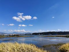 -洱海月湿地公园