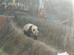 -五龙山野生动物王国