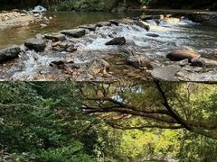 -广州市石门国家森林公园