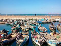 -悦海公园