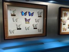 -上海昆虫博物馆