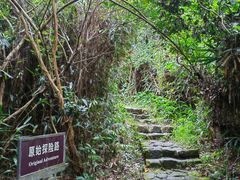 -水濂山森林公园