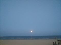-日照海滨国家森林公园