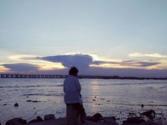 -宝安西湾红树林湿地公园