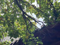 -清风小镇闯关东影视基地