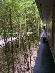-北京英煌医疗美容