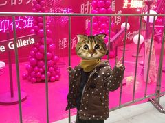 -大连凯丹广场