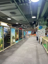 -玩元素·家庭游乐成长中心(香格里拉店)