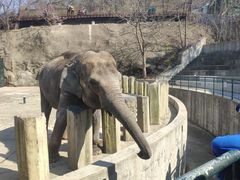 -大连森林动物园