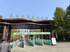 -黄海国家森林公园