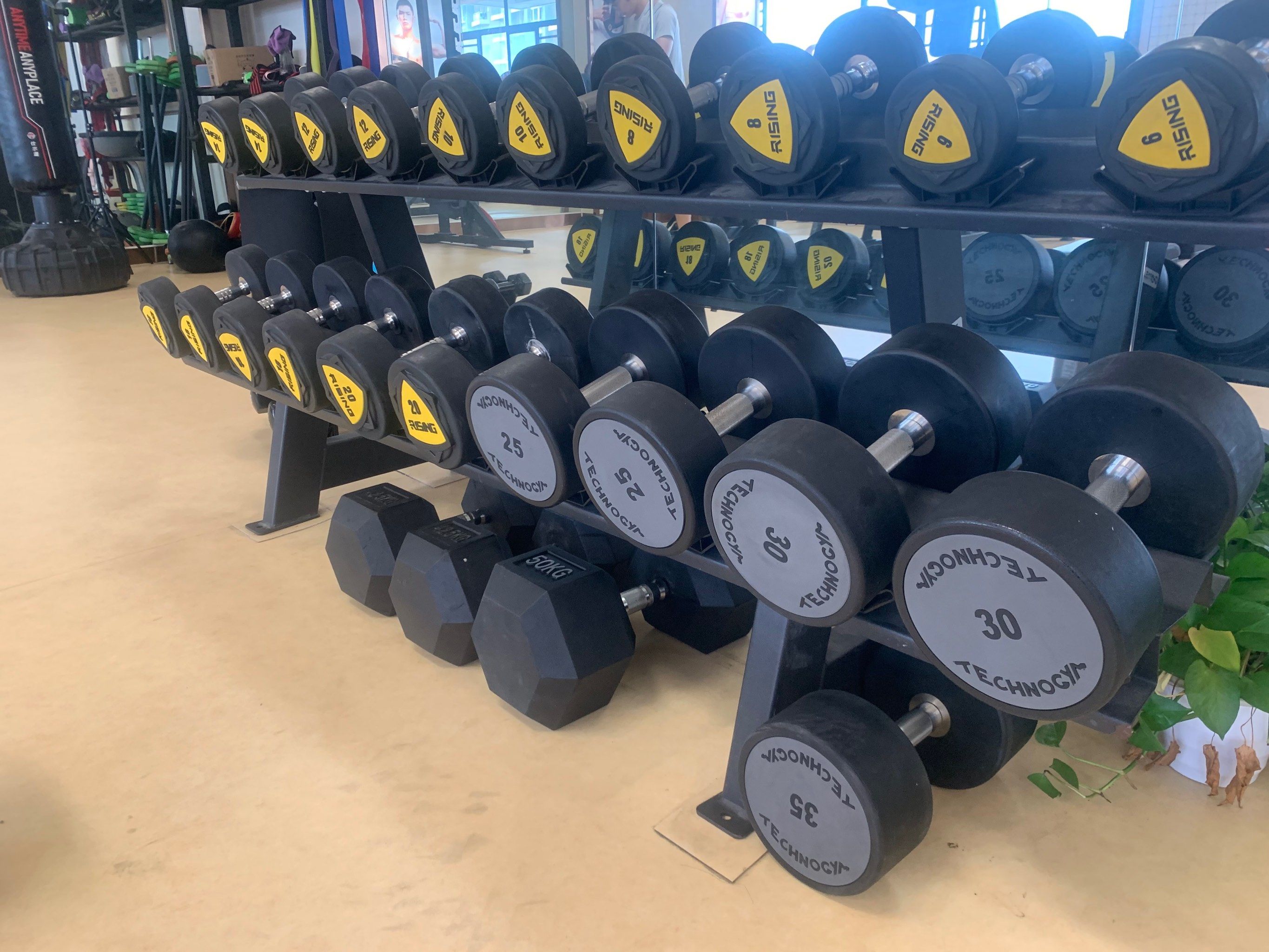 bw必威西汉姆联官网-打破益生菌 “哑铃型” 市场华朴生命以 “中国芯” 锚定十五五重塑全球产业格局