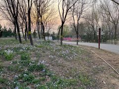 -永定河休闲森林公园