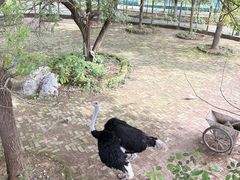 -武汉紫薇都市田园