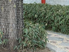 -北京颐和宾馆