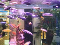 -龟与熊猫宠物公园(南坪店)