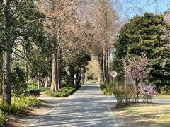-上海滨江森林公园
