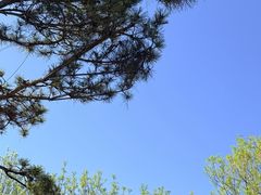 -佛慧山