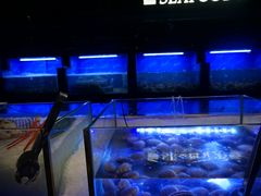 -V-ONE西雅图海鲜自助餐厅(仓山万达广场店)