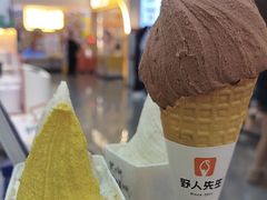 -野人先生现做冰淇淋(西安赛格店)