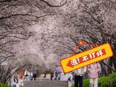 -山东师范大学(千佛山校区)
