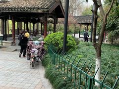 -运河游船(武林门码头)