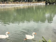 -宗角禄康公园