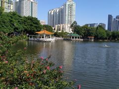 -荔湾湖公园