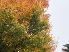 -北京西山国家森林公园