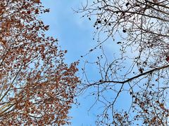 -春晖园度假酒店温泉