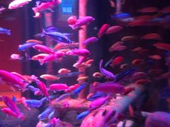 -沈阳海洋探索中心