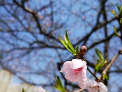 -白塘生态植物园