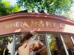 -WHEN PIGS FLY当猪飞