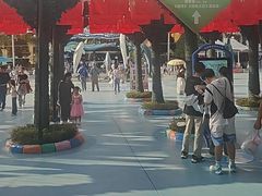 -海合安成都极地海洋公园
