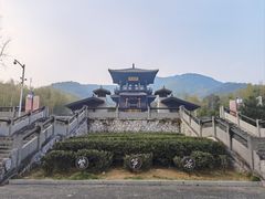 -大唐贡茶院