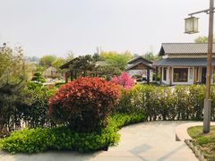 -郑州银基黄帝宫御温泉