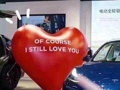 -TESLA 特斯拉(上海太古汇体验店)