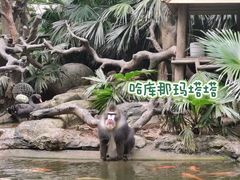 -广州长隆野生动物世界