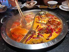 -大龙燚火锅(南山大道店)